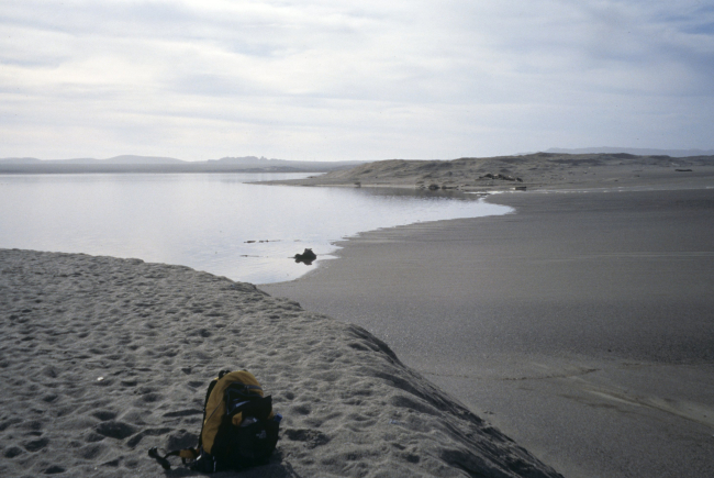 Point Reyes Great Beach