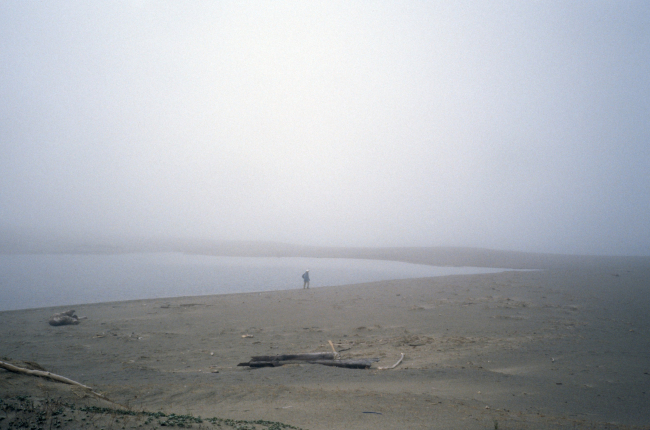 Point Reyes Great Beach