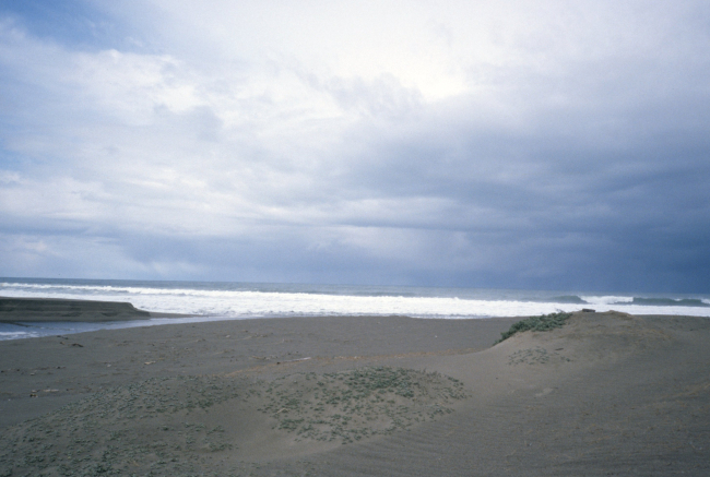 Point Reyes Great Beach