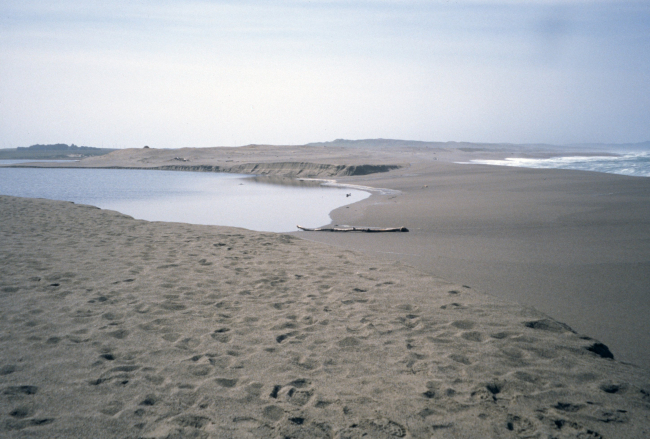 Point Reyes Great Beach