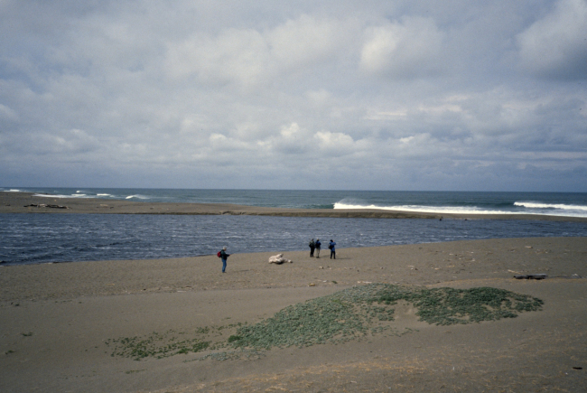 Point Reyes Great Beach