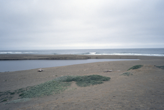 Point Reyes Great Beach