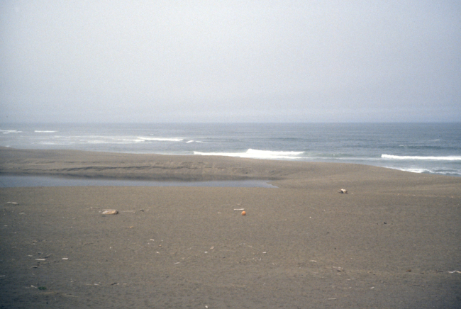 Point Reyes Great Beach