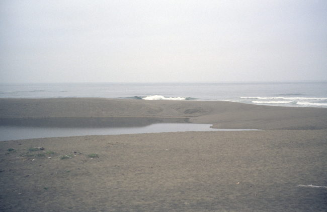Point Reyes Great Beach