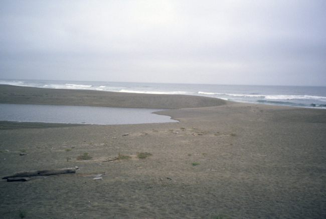 Point Reyes Great Beach