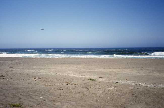 Point Reyes Great Beach