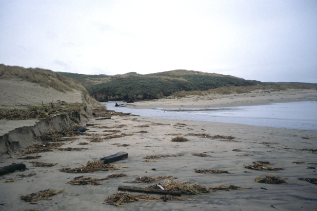 Point Reyes Great Beach