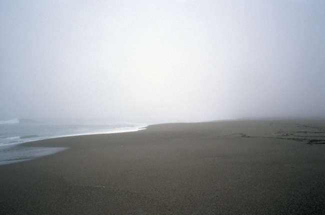Point Reyes Great Beach