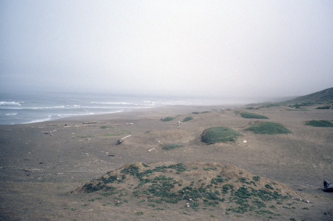 Point Reyes Great Beach