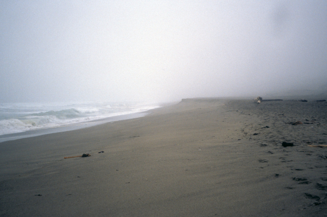 Point Reyes Great Beach