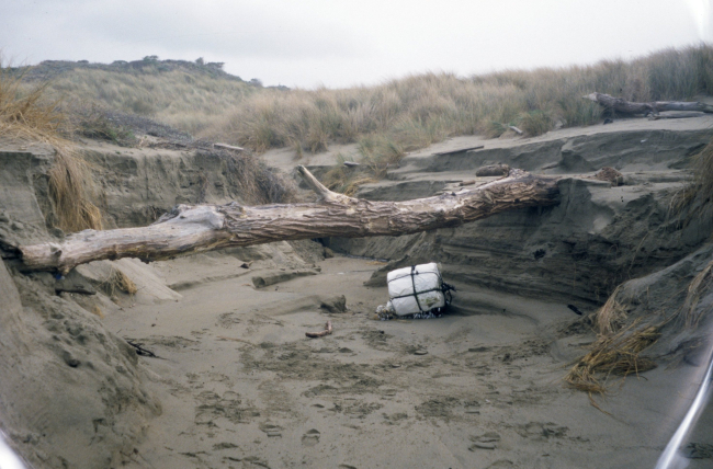 Point Reyes Great Beach