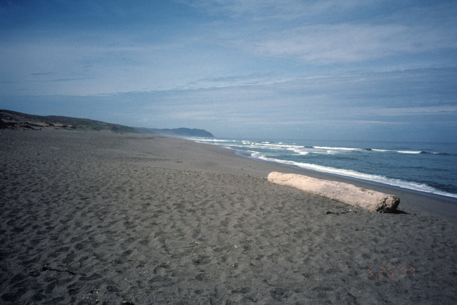 Point Reyes Great Beach south end