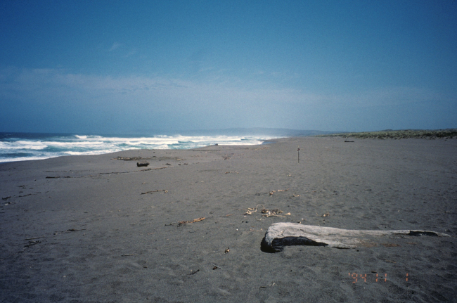 Point Reyes Great Beach south end
