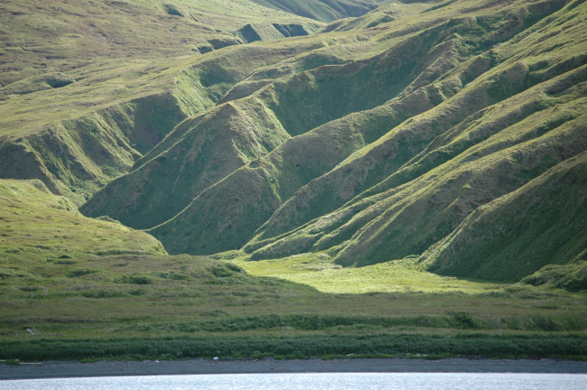 Chichagof Harbor area