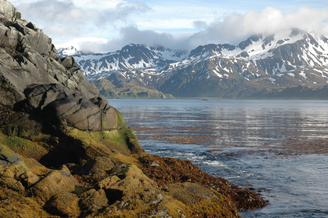 Kelp forest, calm water and spectacular mountain scenery