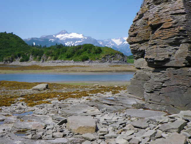 Kukak Bay at low tide