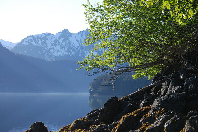 A placid view in Tutka Bay, an arm of Kachemak Bay in SE Cook Inlet