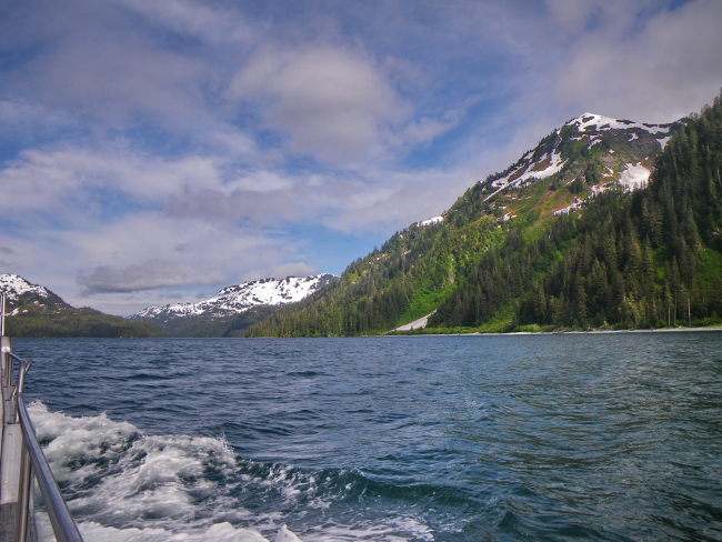 A view in Bainbridge Passage