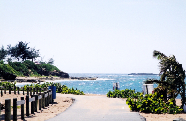 A shoreside trail on St