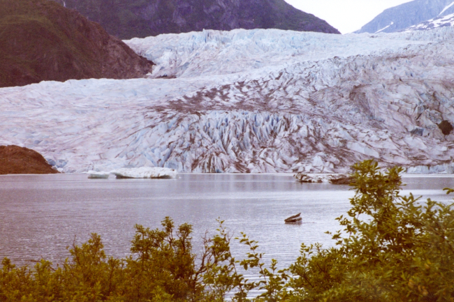 Mendenhall Glacier