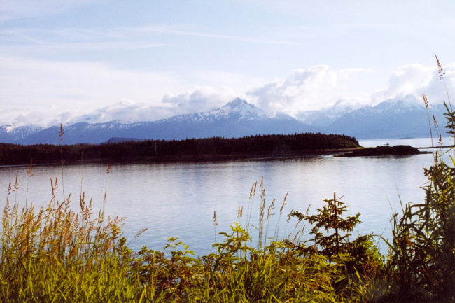 A placid bay in Southeast Alaska