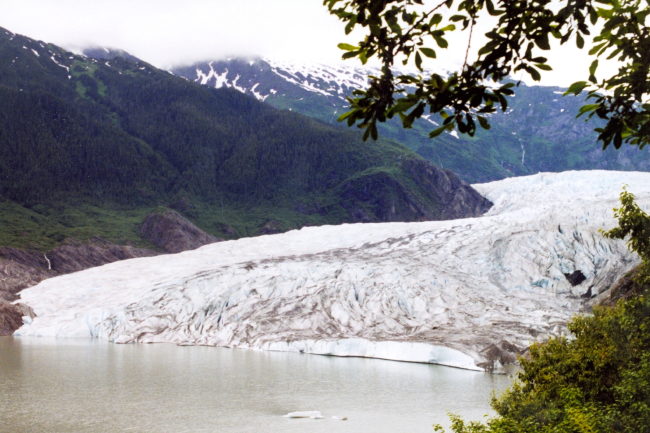 Mendenhall Glacier