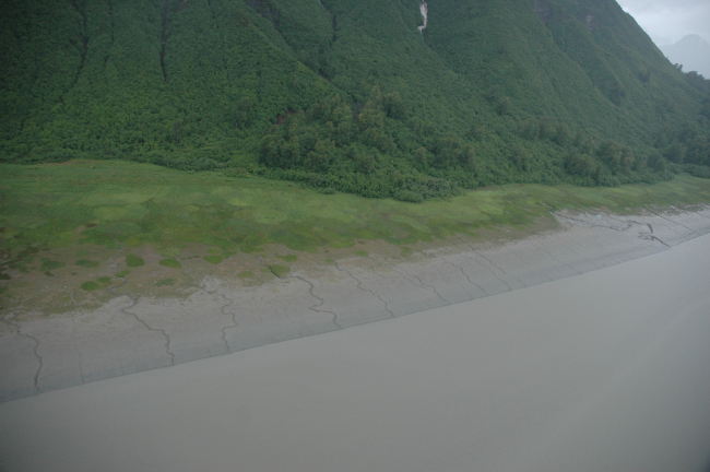 Aerial photograph