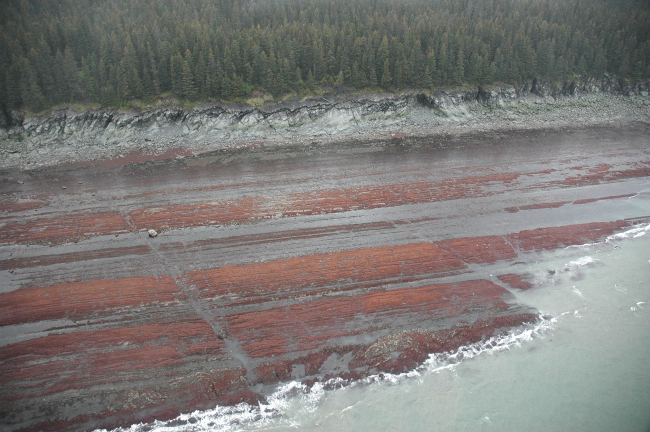 Aerial photograph