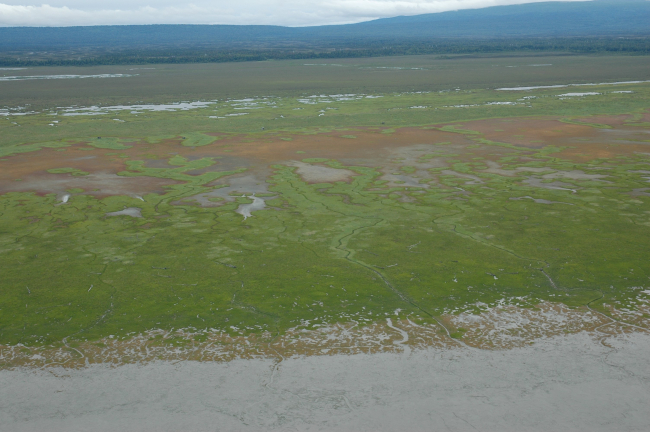 Aerial photograph