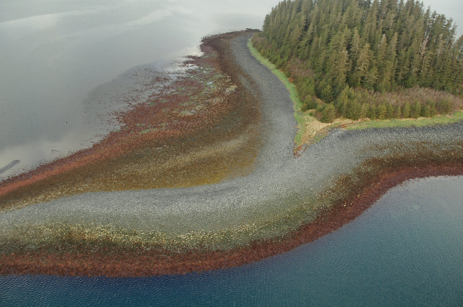Aerial photograph
