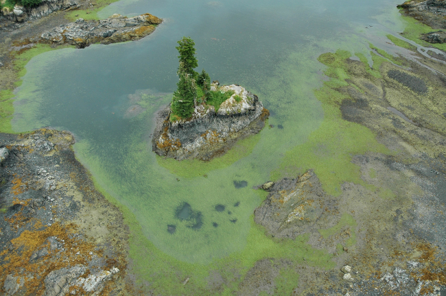 Aerial photograph
