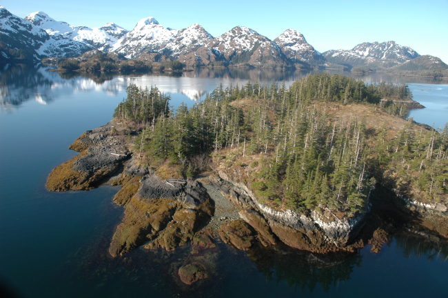 Aerial photograph