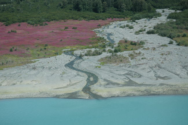 Aerial photograph
