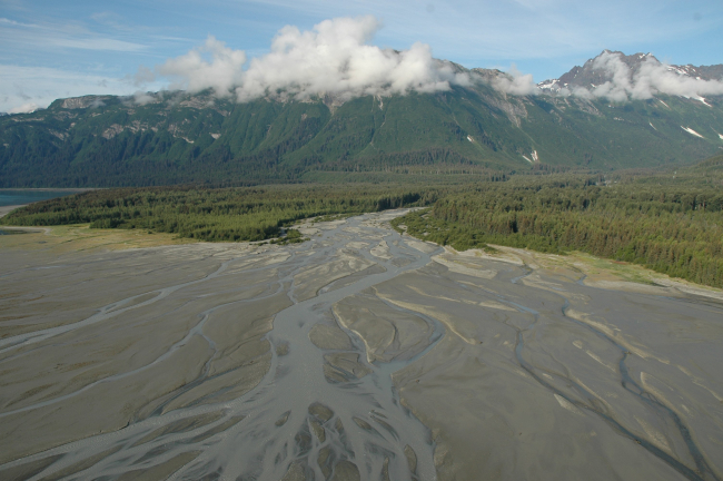 Aerial photograph