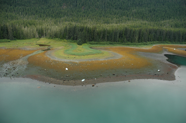 Aerial photograph