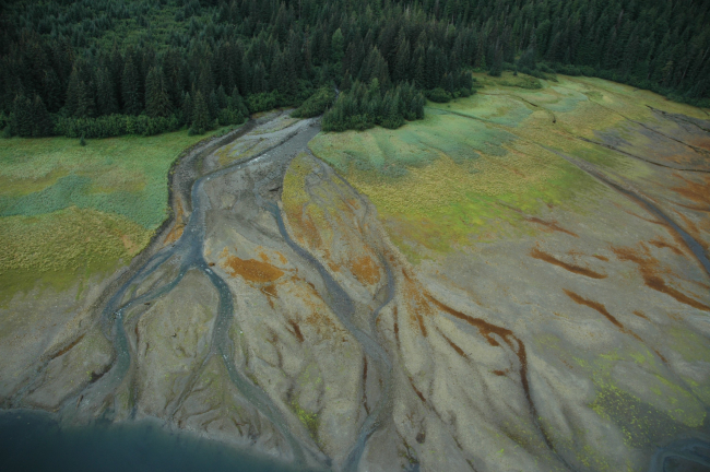 Aerial photograph