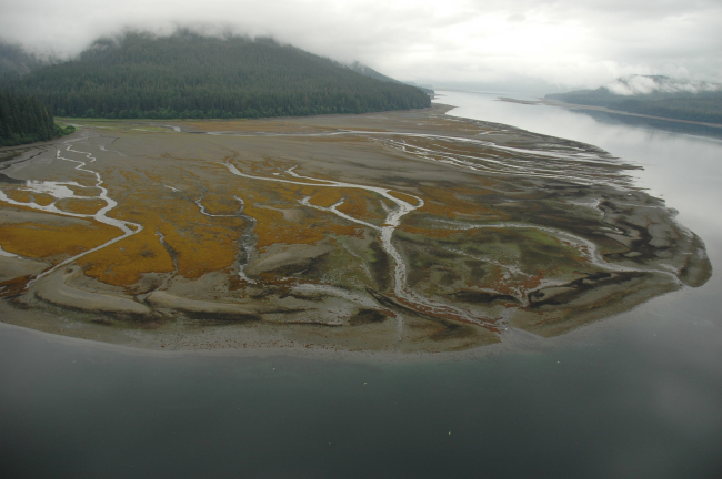 Aerial photograph