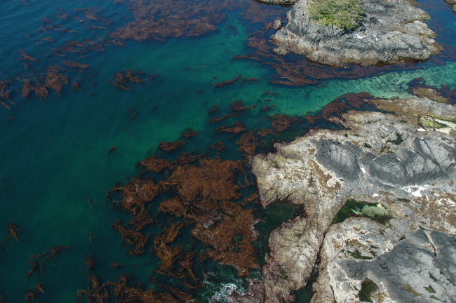 Aerial photograph