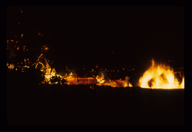Lava passing through the brush setting surrounding bushes on fire