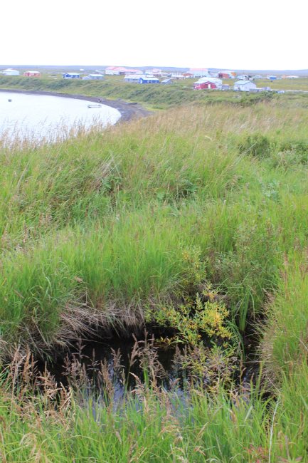 A thermokarst caused by melting of permafrost