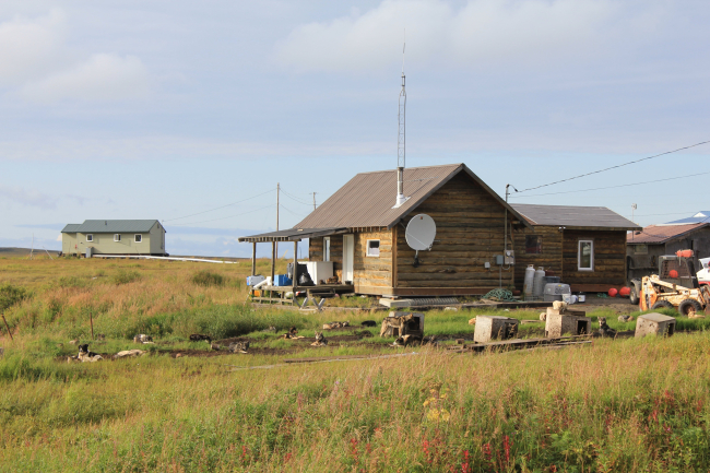 A dog sled team and satellite television receiver