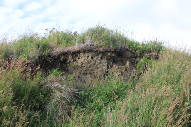 As opposed to this being a frost heave, this is a frost heave with the groundsagging down in an area of melting permafrost causing a thermokarst