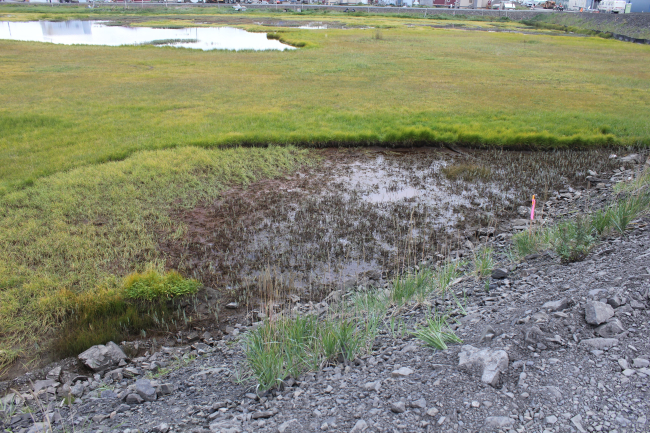 Thermokarst on melting permafrost caused by improper road construction