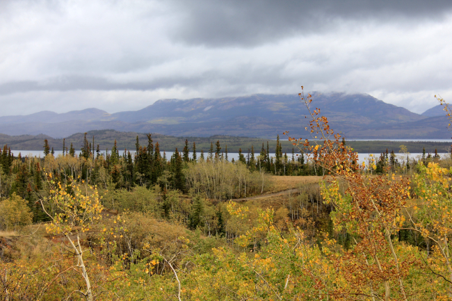 A fall scene along the Dempster Highway headed north to the MacKenzie River