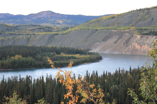 Main stem of the Yukon River north of Whitehorse