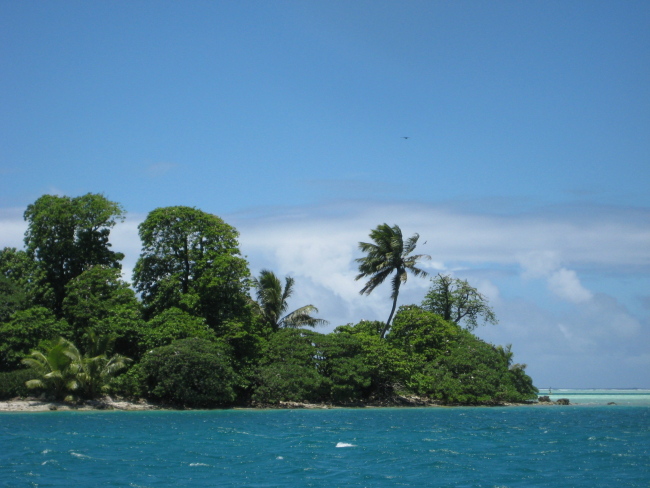 Vegetation including the ubiquitous palm trees of the tropical Pacific coverPalmyra Island and its associated offshore islets