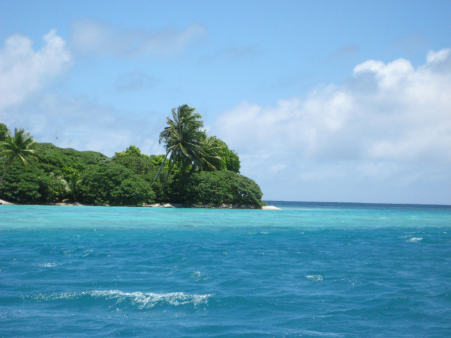 Vegetation including the ubiquitous palm trees of the tropical Pacific coverPalmyra Island and its associated offshore islets