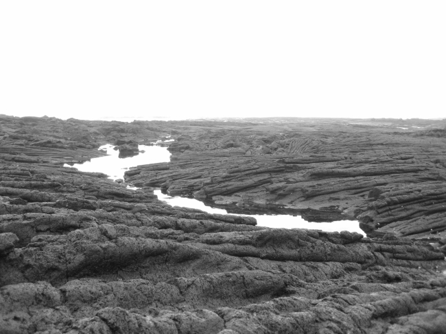 Frozen ropes of pahoehoe lava