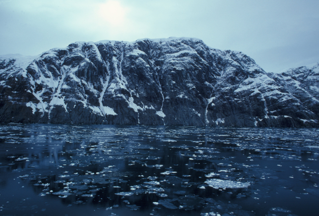 Glacier Bay view with ice forming on sea surface