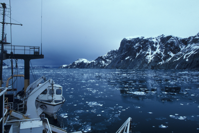 Glacier Bay view with ice forming on sea surface